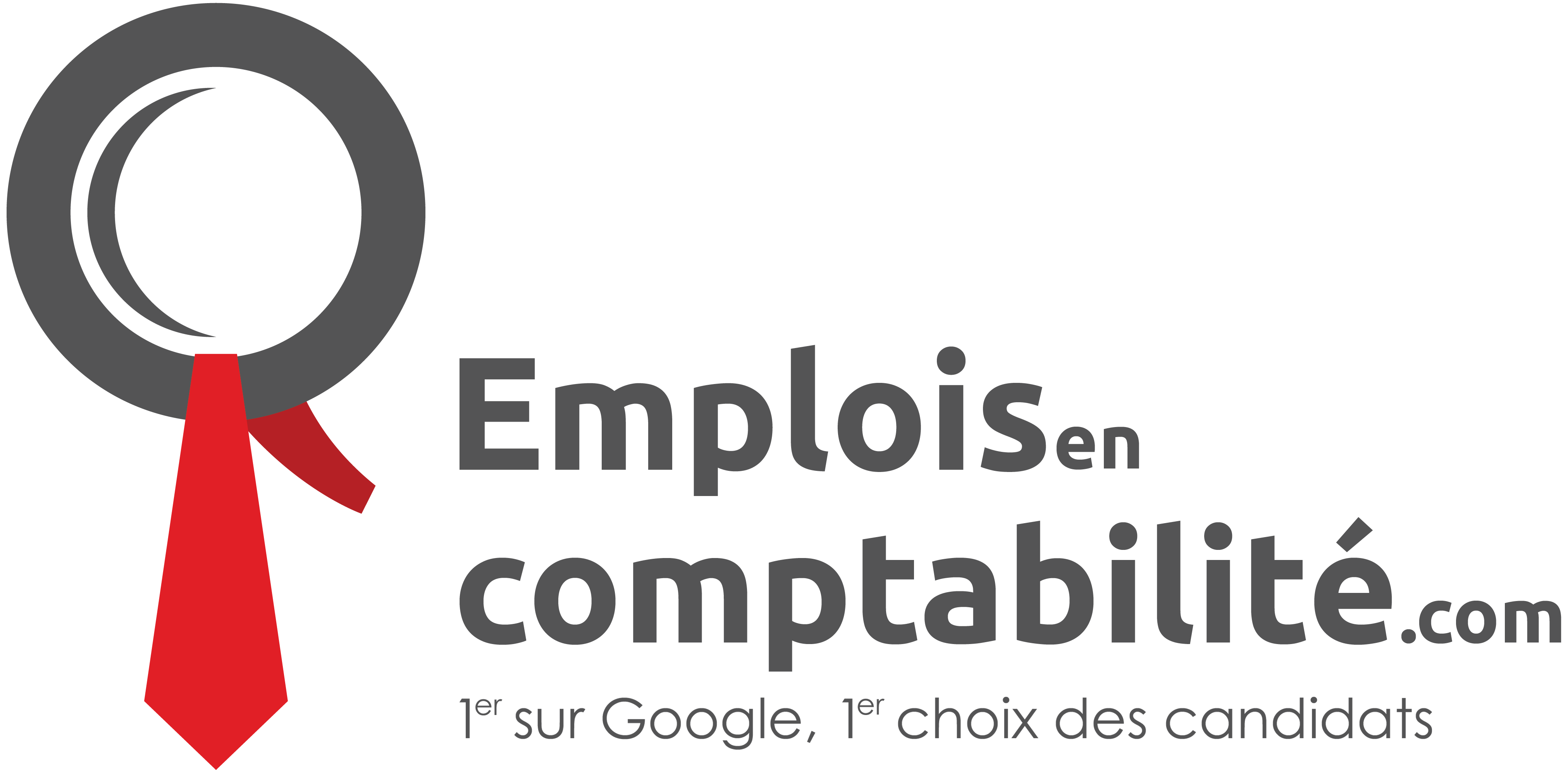 emploisencomptabilite.com