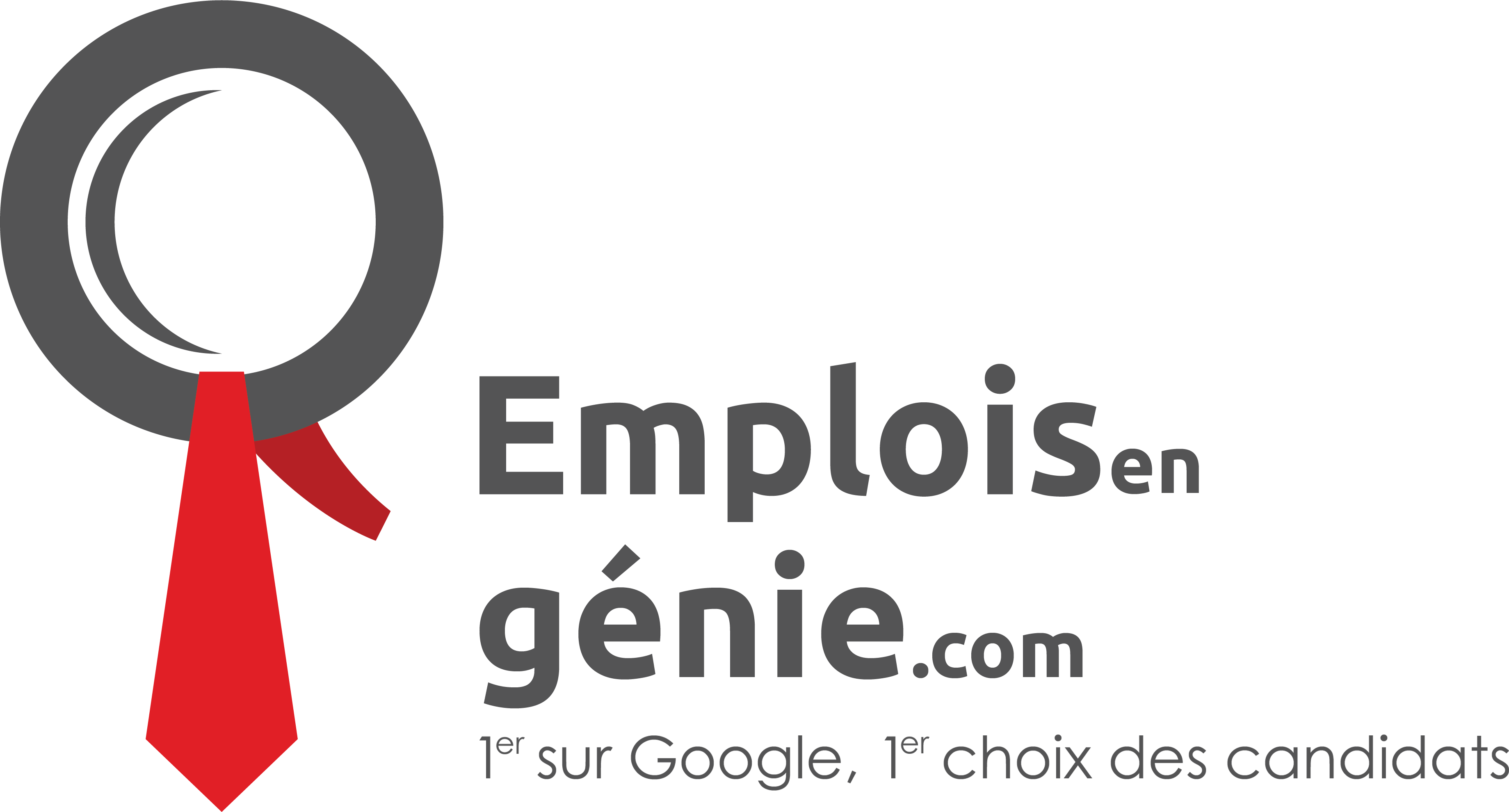 emploisengenie.com